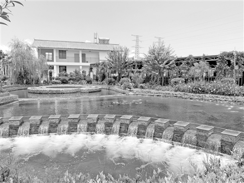 20210806A04_res07_attpic_brief