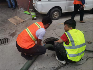 2962229_500x500 2962229_500x500