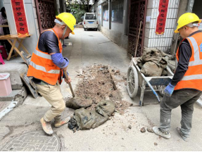 2962230_500x500 2962230_500x500